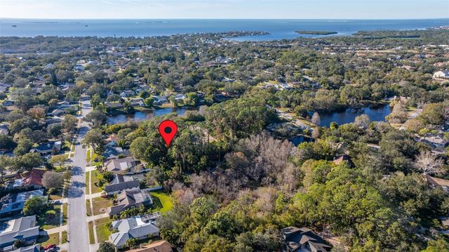 1302 ALMARIA COURT, Palm Harbor, FL 34683