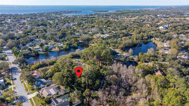 1302 ALMARIA COURT, Palm Harbor, FL 34683