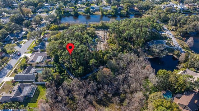 1302 ALMARIA COURT, Palm Harbor, FL 34683