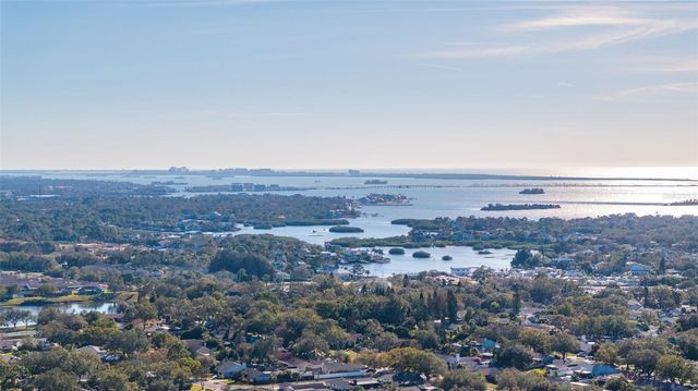 1302 ALMARIA COURT, Palm Harbor, FL 34683