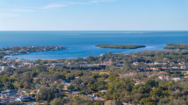 1302 ALMARIA COURT, Palm Harbor, FL 34683