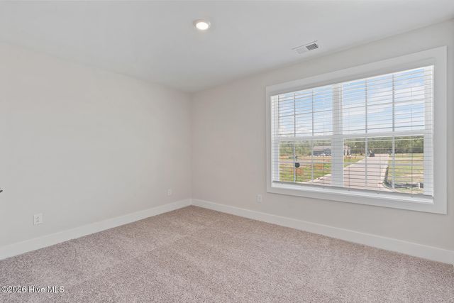 59 Umbrella Palm Drive, Hampstead, NC 28443