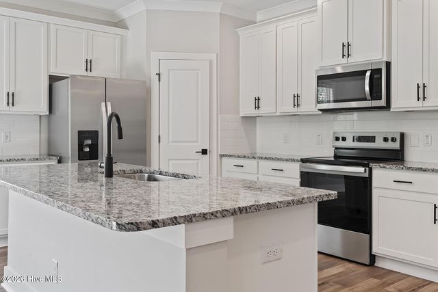 59 Umbrella Palm Drive, Hampstead, NC 28443
