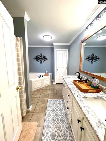 1043 Eau Claire Drive, Chapin, SC 29036