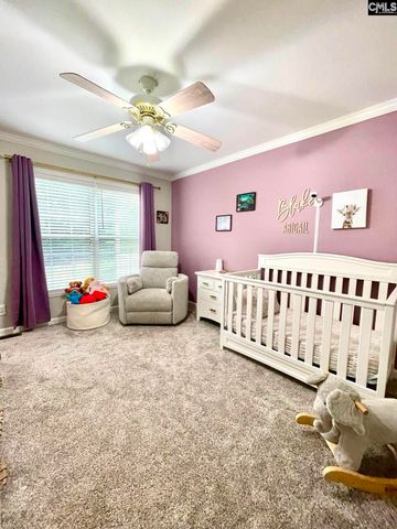 1043 Eau Claire Drive, Chapin, SC 29036