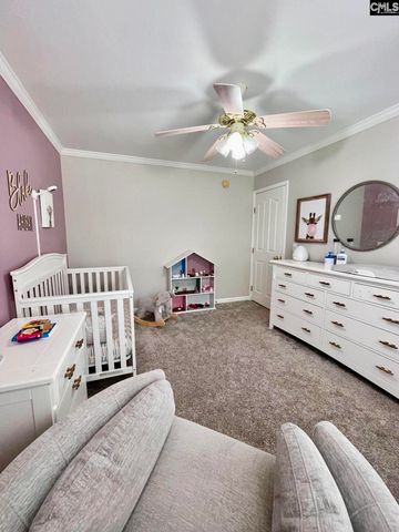1043 Eau Claire Drive, Chapin, SC 29036