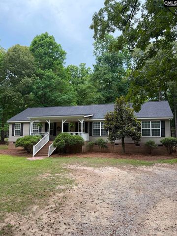 1043 Eau Claire Drive, Chapin, SC 29036