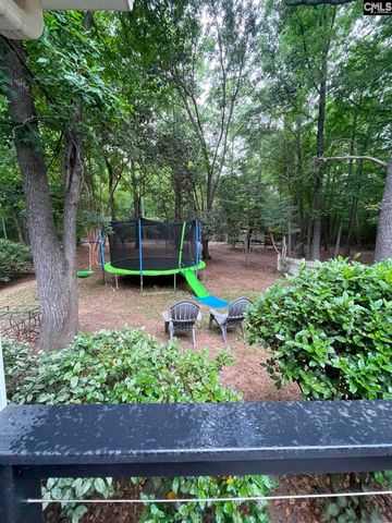 1043 Eau Claire Drive, Chapin, SC 29036