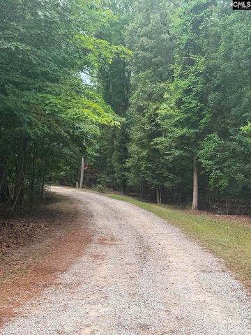 1043 Eau Claire Drive, Chapin, SC 29036