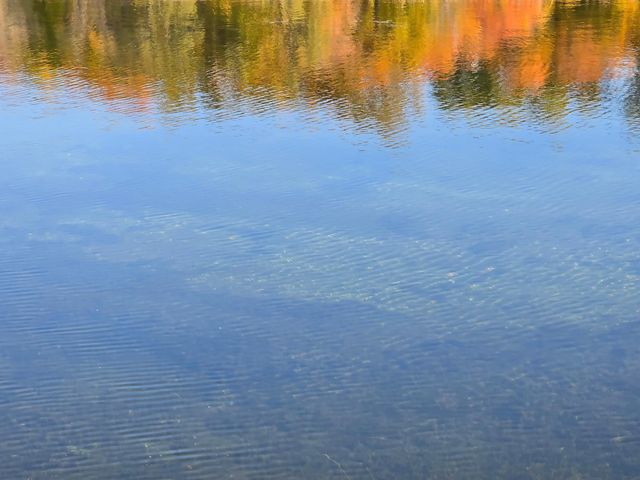 Tract N Blybergs Lane, Pelican Rapids, MN 56572