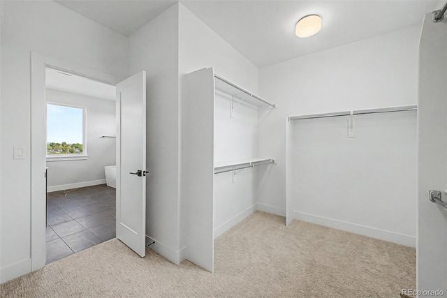 5612 Wheaton Avenue, Longmont, CO 80503