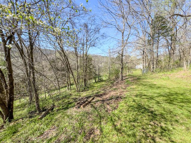 410 Britton Hollow Rd, Pulaski, TN 38478