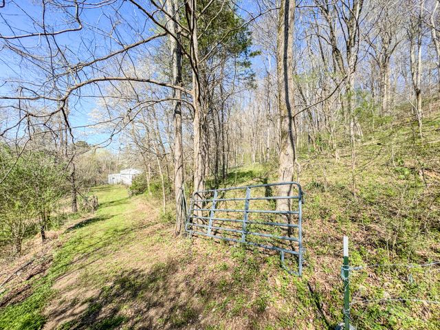 410 Britton Hollow Rd, Pulaski, TN 38478