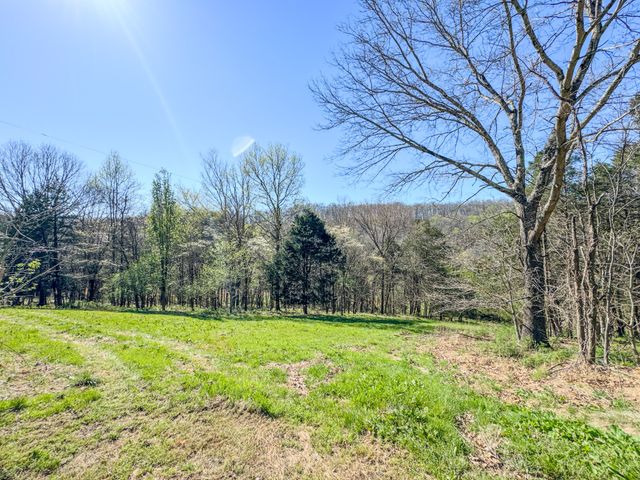 410 Britton Hollow Rd, Pulaski, TN 38478