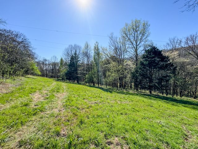 410 Britton Hollow Rd, Pulaski, TN 38478