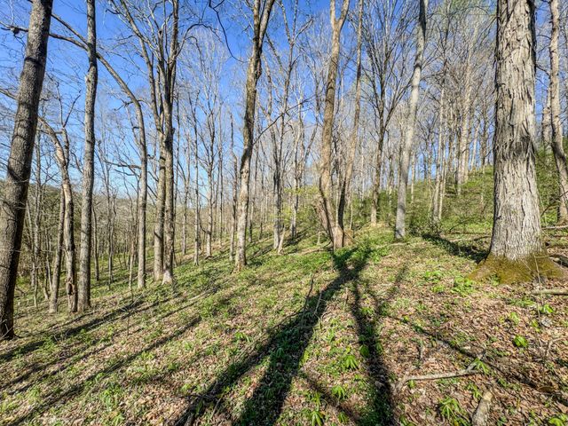 410 Britton Hollow Rd, Pulaski, TN 38478
