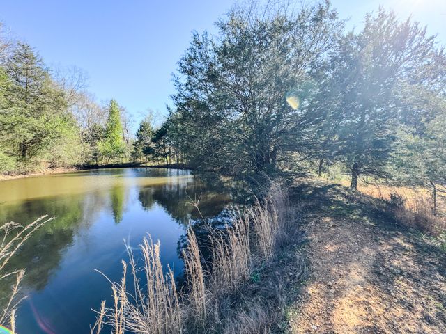 410 Britton Hollow Rd, Pulaski, TN 38478