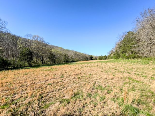 410 Britton Hollow Rd, Pulaski, TN 38478