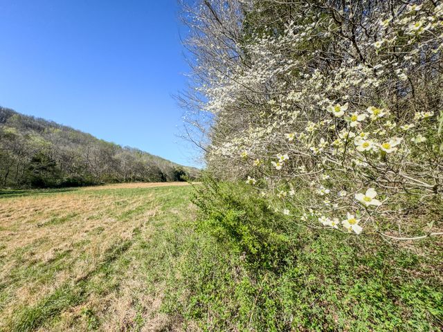 410 Britton Hollow Rd, Pulaski, TN 38478