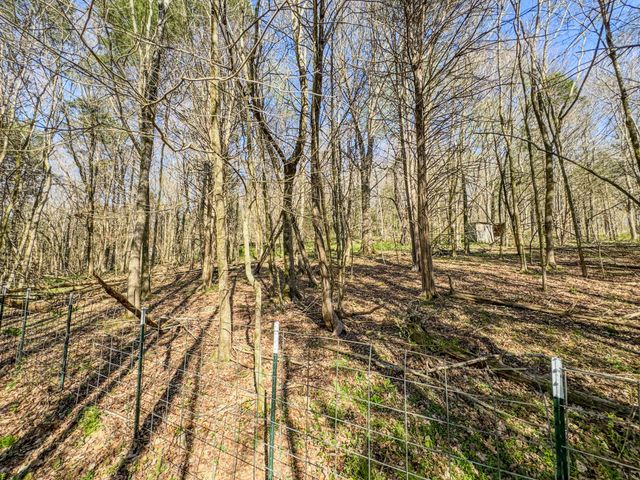 410 Britton Hollow Rd, Pulaski, TN 38478