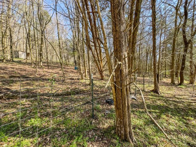 410 Britton Hollow Rd, Pulaski, TN 38478