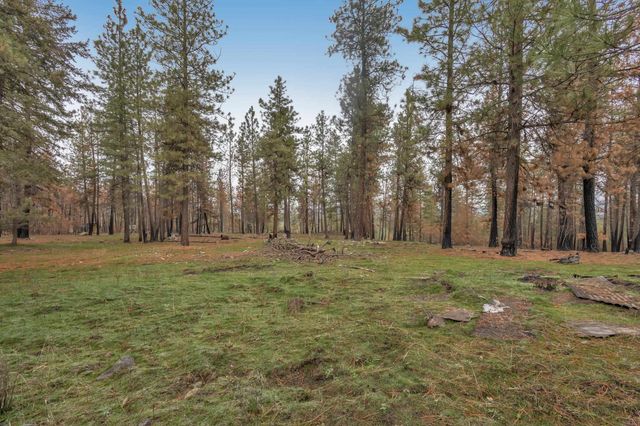 15817 Coyote Ridge Ln, Ford, WA 99013