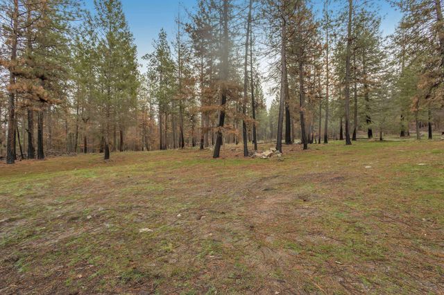 15817 Coyote Ridge Ln, Ford, WA 99013