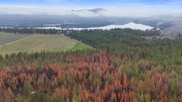 15817 Coyote Ridge Ln, Ford, WA 99013