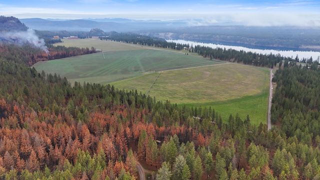 15817 Coyote Ridge Ln, Ford, WA 99013