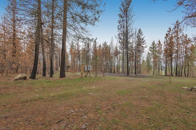 15817 Coyote Ridge Ln, Ford, WA 99013