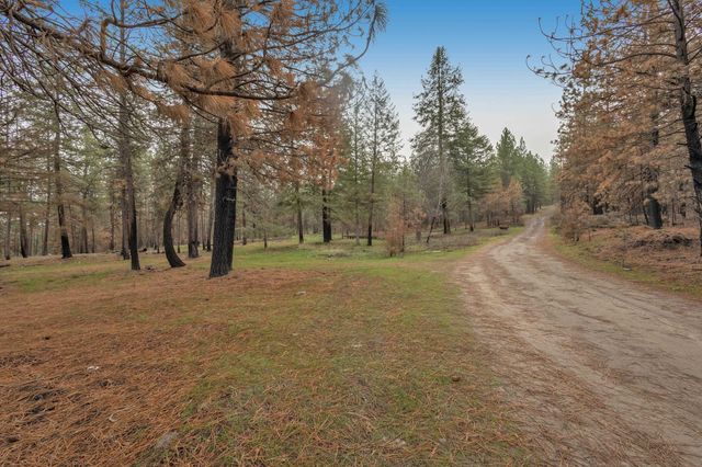 15817 Coyote Ridge Ln, Ford, WA 99013