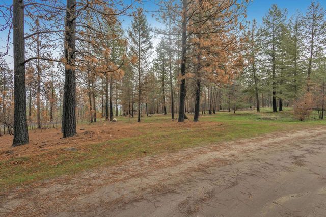 15817 Coyote Ridge Ln, Ford, WA 99013