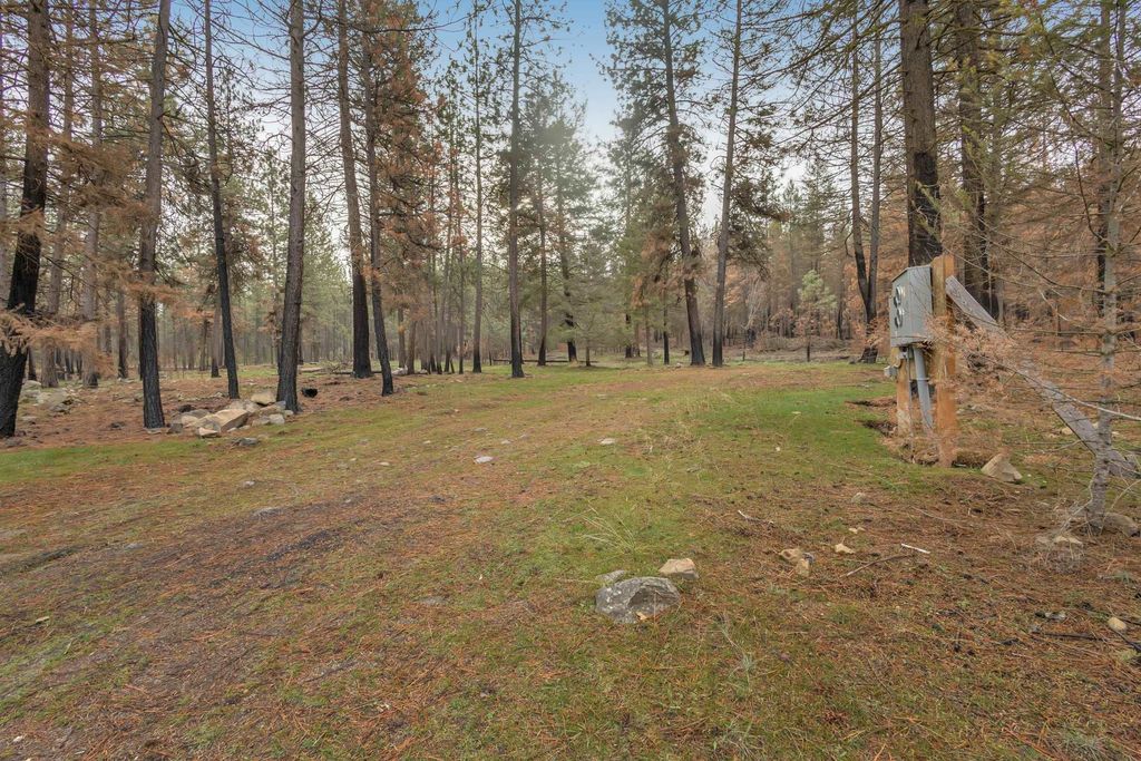 15817 Coyote Ridge Ln, Ford, WA 99013 photo 9