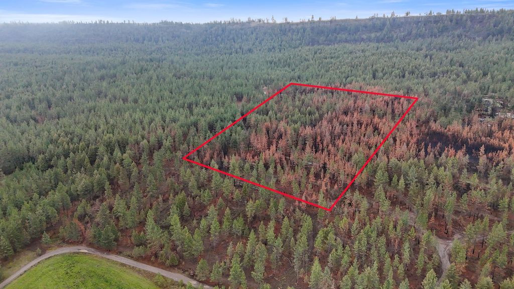 15817 Coyote Ridge Ln, Ford, WA 99013 photo 12