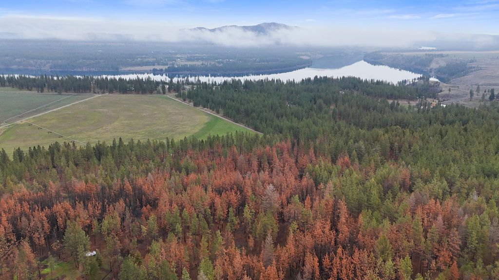 15817 Coyote Ridge Ln, Ford, WA 99013 photo 13