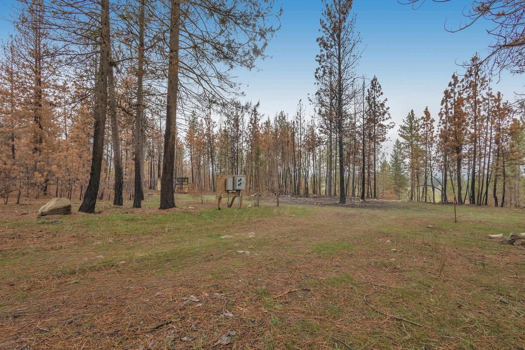 15817 Coyote Ridge Ln, Ford, WA 99013 photo 4