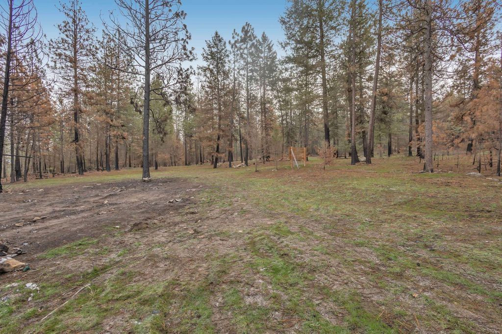 15817 Coyote Ridge Ln, Ford, WA 99013 photo 6