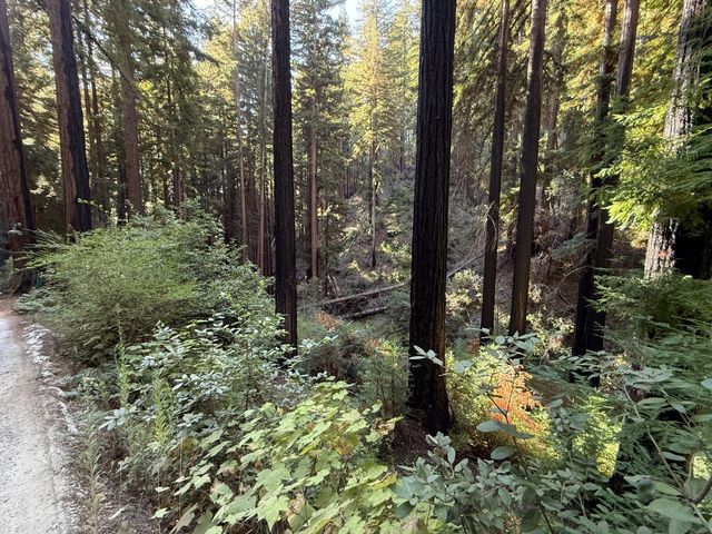 449 Band Road, Boulder Creek, CA 95006