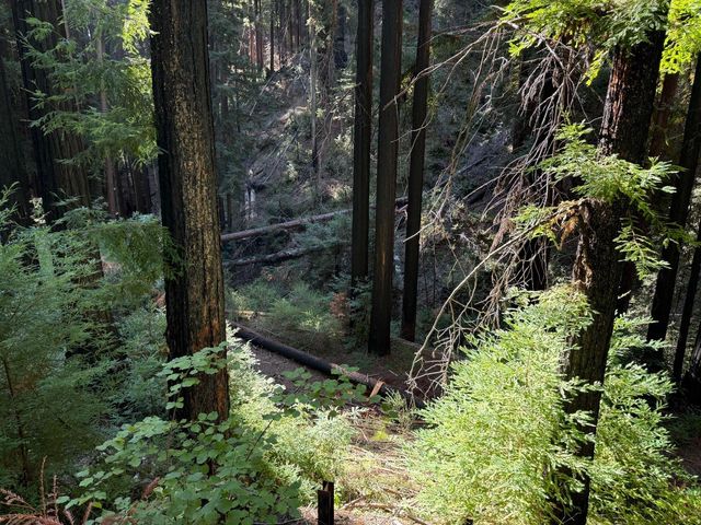 449 Band Road, Boulder Creek, CA 95006