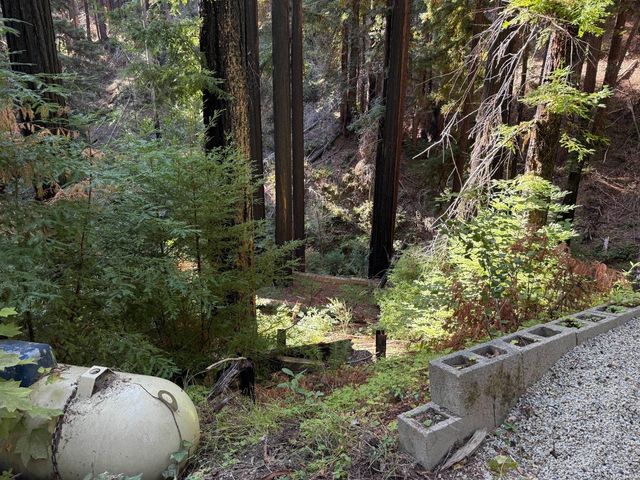 449 Band Road, Boulder Creek, CA 95006