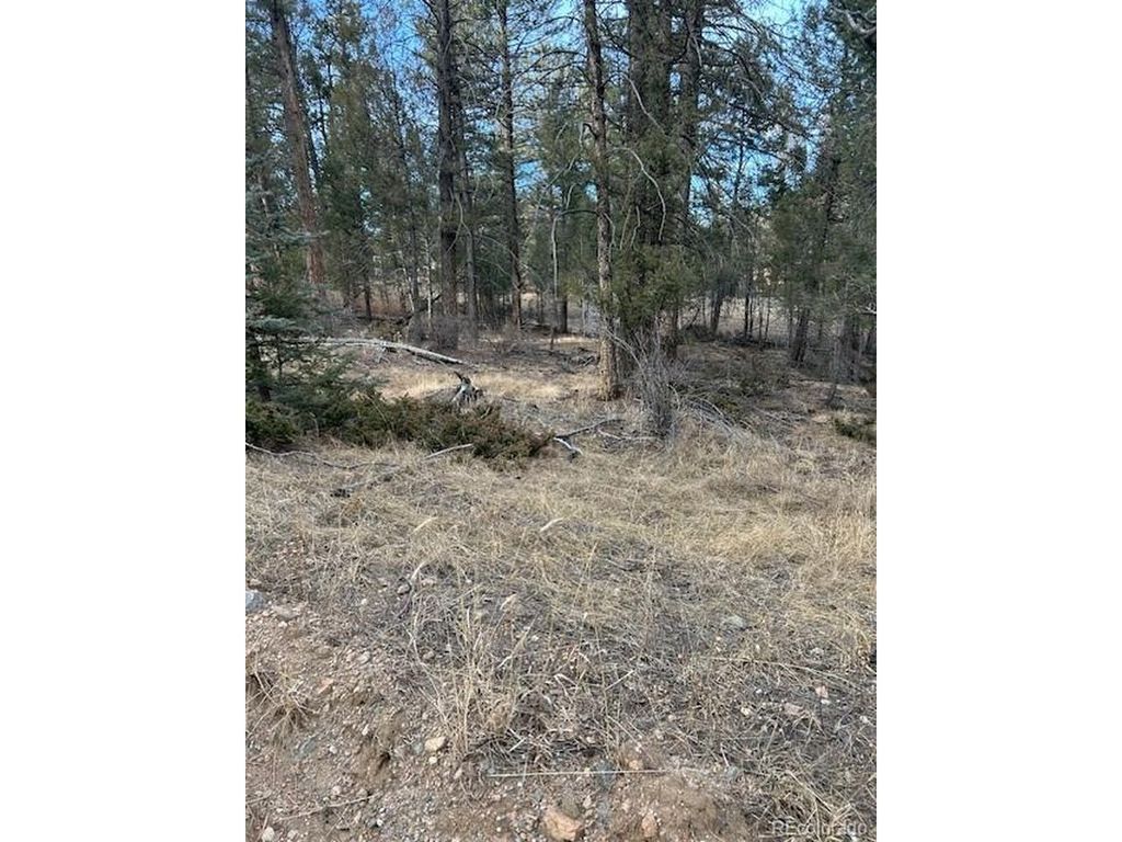 260 Ranch Resorts Dr, Florissant, CO 80816