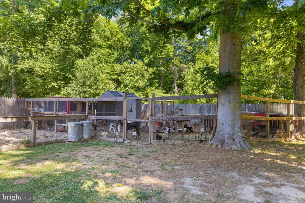 Image 71 of property listing at 137 WHITE MARSH RD, Centreville, MD 21617