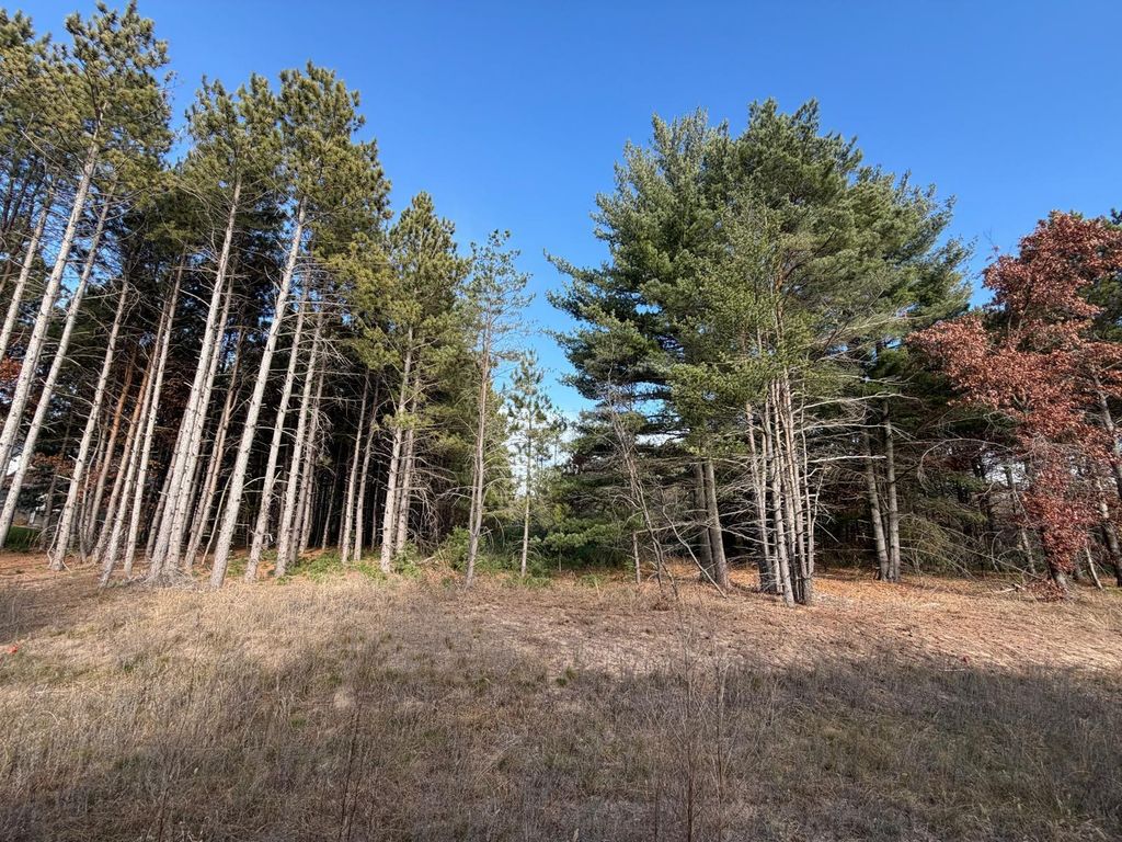 L2,Blk1 262nd Avenue NW, Big Lake, MN 55309