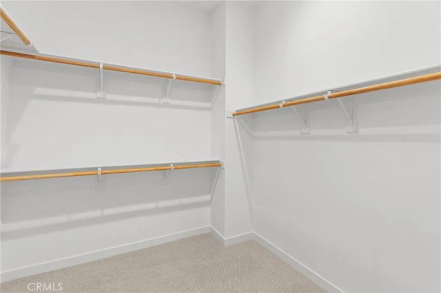 137 Culture, Irvine, CA 92618