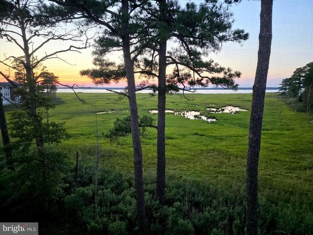 29222 PARK VIEW DR, Dagsboro, DE 19939