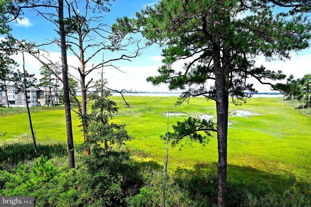 29222 PARK VIEW DR, Dagsboro, DE 19939