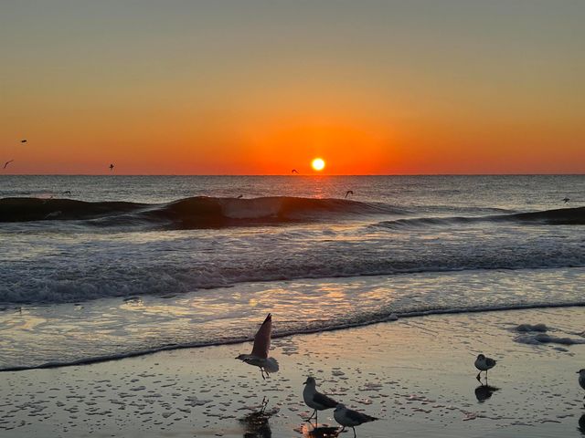 206 Madrid St, St Augustine, FL 32080