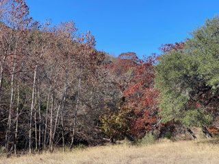 Lot 134 Shapen Springs Rd # 134, Harper, TX 78631