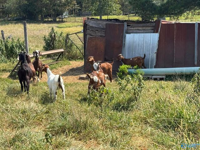 532 County Road 152, Section, AL 35771