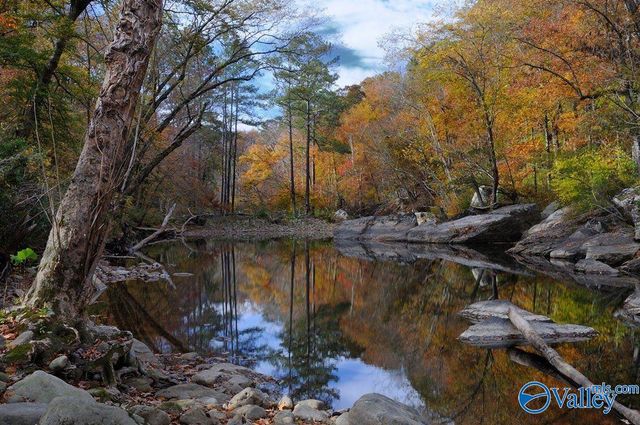 532 County Road 152, Section, AL 35771